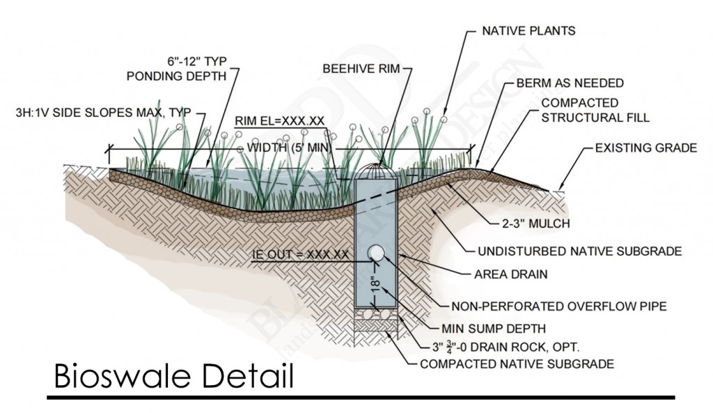 20140613 Bioswale detail